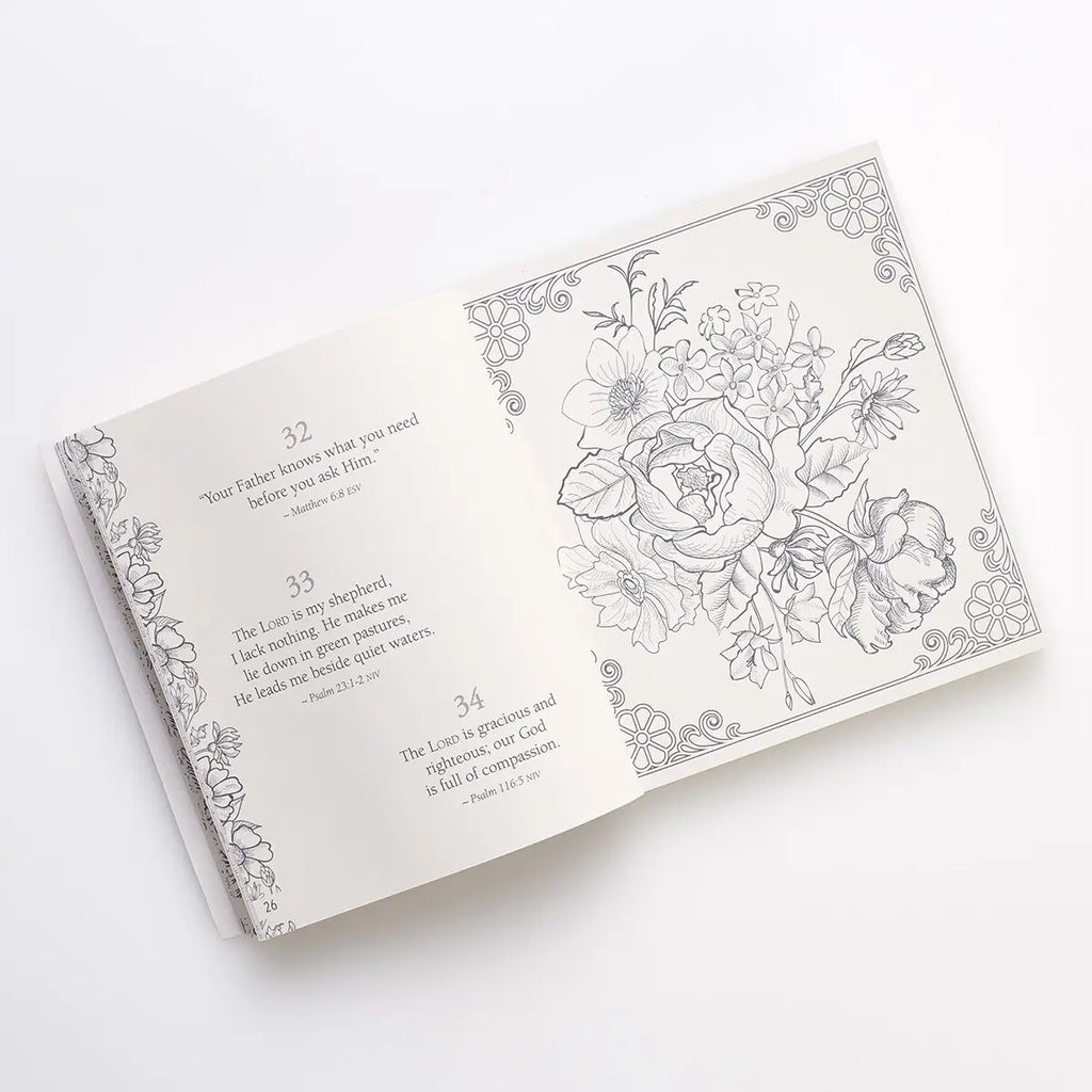 Coloring Devotional 365 Promises of God