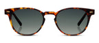Peepers Boho II Polarized Sunglasses in Tortoise