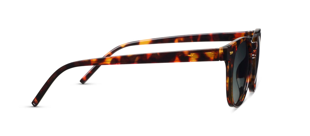 Peepers Boho II Polarized Sunglasses in Tortoise