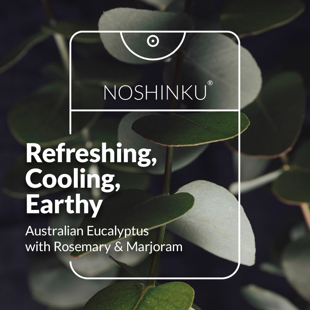 Noshinku Pocket Hand Sanitizer in Eucalyptus