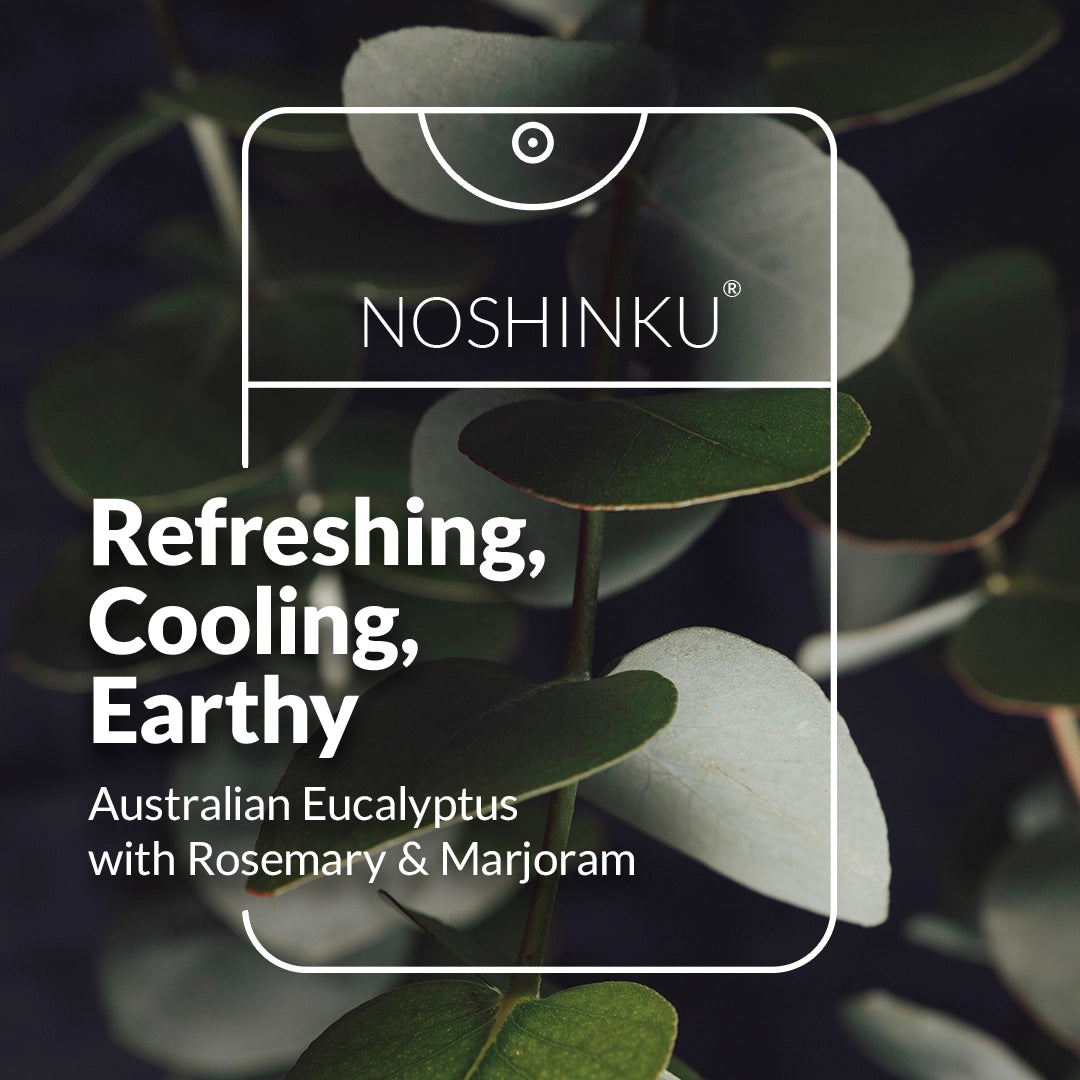 Noshinku Pocket Hand Sanitizer in Eucalyptus