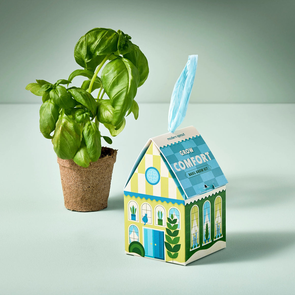 Basil Grow Kit  by Modern Sprout