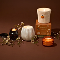 Flaming Pumpkin 9oz Candle