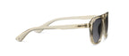 Peepers Deep Dive Polarized Sunglasses in Fog