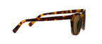 Peepers Harbor Polarized Sunglasses in Tortoise