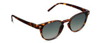 Peepers Boho II Polarized Sunglasses in Tortoise